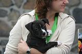 ADULTE ET CHIEN 414